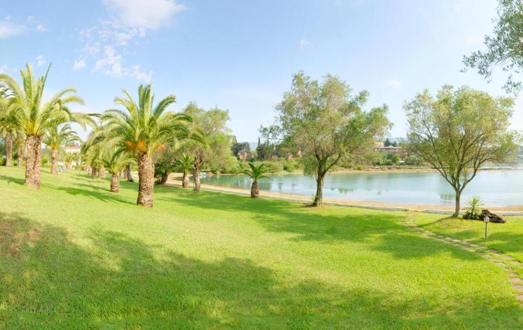 Palm Tree Corfu Apt. Danilia Zewnętrze zdjęcie