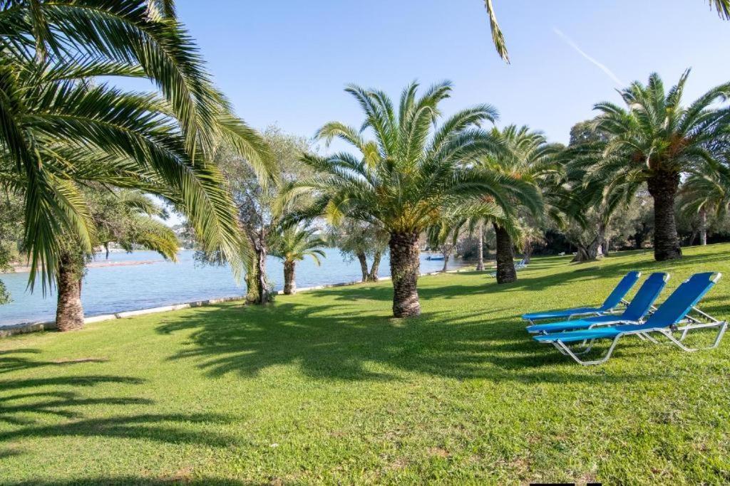 Palm Tree Corfu Apt. Danilia Zewnętrze zdjęcie